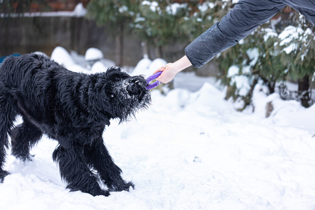 Happy dog with the client